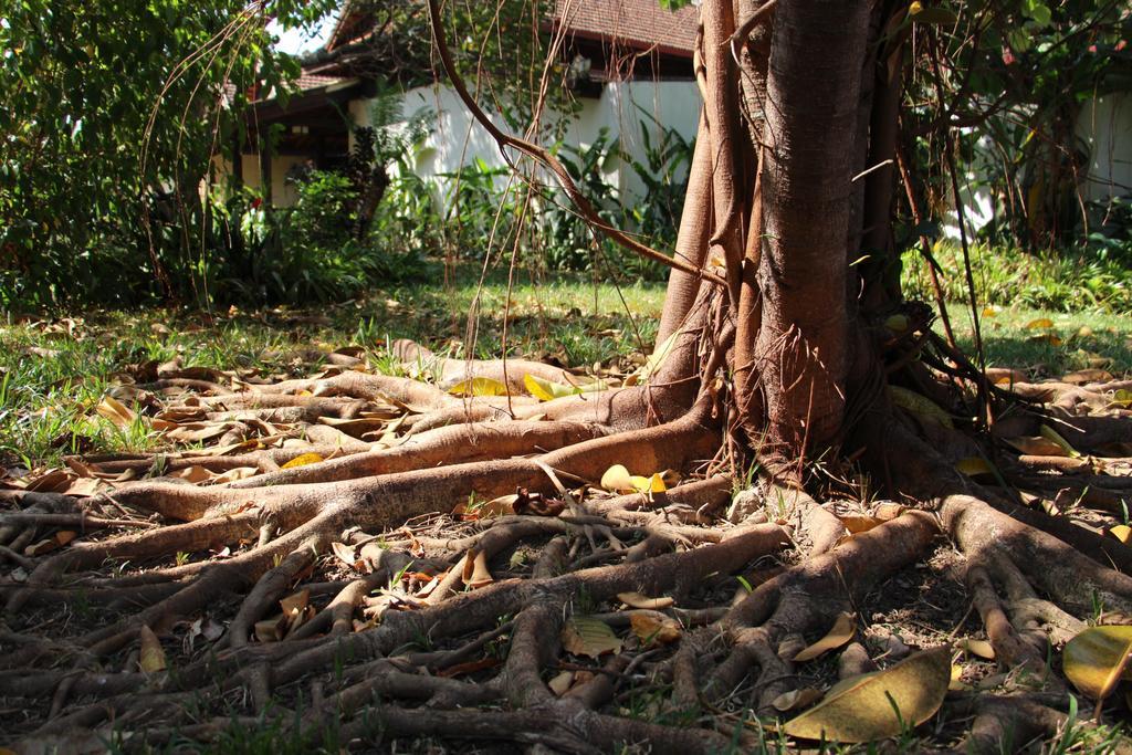 Terres Rouges Lodge Banlung Buitenkant foto
